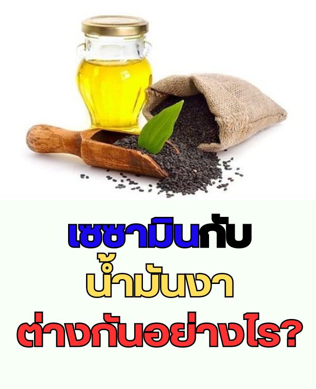 เซซามินกับน้ำมันงาต่างกันอย่าไร?